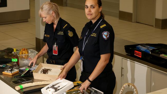 Australian Border Force officers Jeynelle and Catherin with seized from passengers at the Gold Coast Airport. Items seized included knives, animal parts and assorted weapons. ***NOTE*** We cannot use surnames of officers due to security concerns. Picture by Scott Fletcher