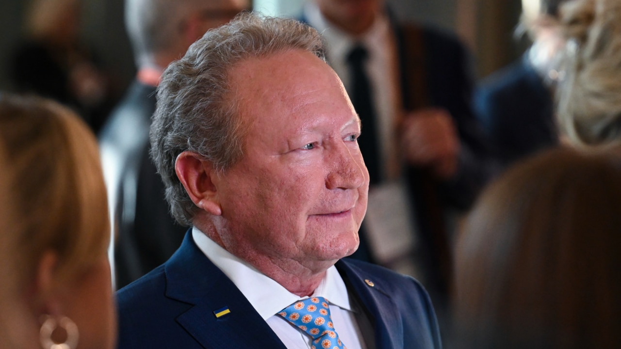 Andrew 'Twiggy' Forrest aiming to produce lowest energy price 'in the world'