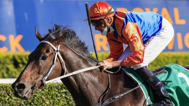 Nash Rawiller will partner the Matthew Dunn-trained Whodat. Picture: Getty Images