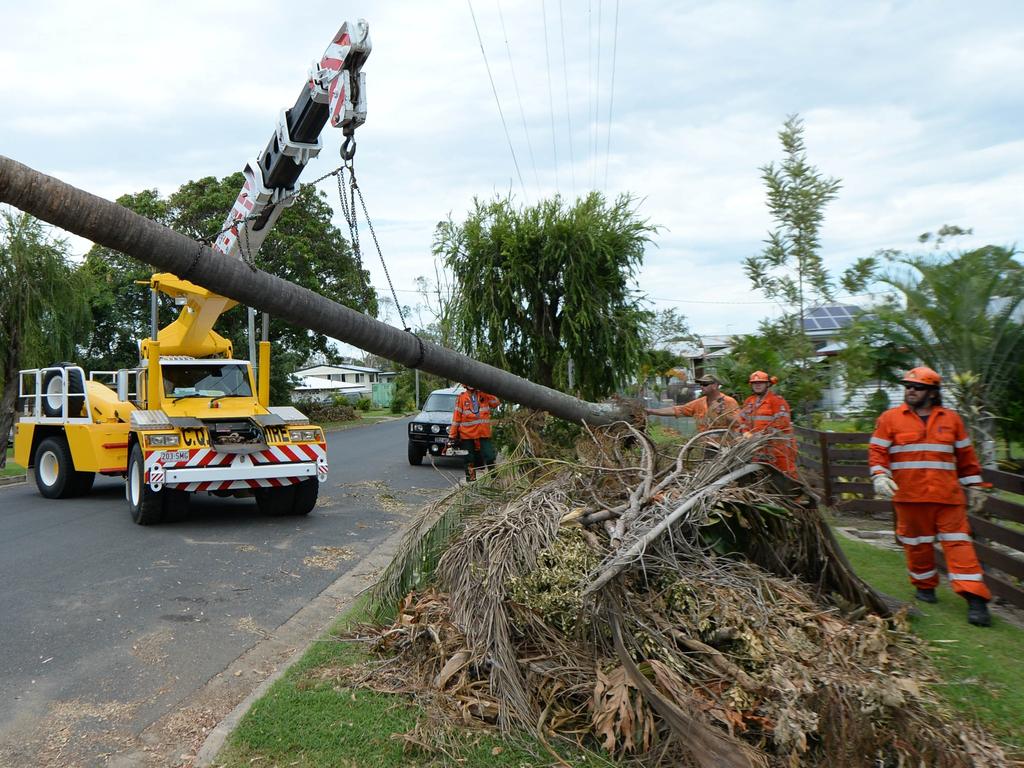 SES volunteers and workers from CQ Crane Hire clear two palm trees that had fallen on to a Horton Street residence during Cyclone Marcia as the clean-up continues. Photo: Chris Ison / The Morning Bulletin