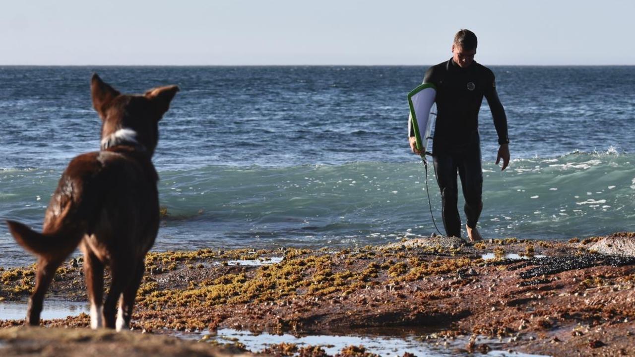 Deep blue fear: ‘World’s most dangerous’ SA coastline has surfers on edge