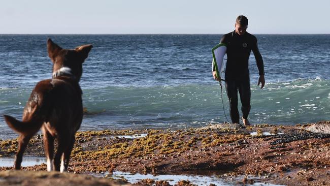 Streaky Bay local, Danny Utah has been surfing along the West Coast since he was a young boy. Picture: Supplied