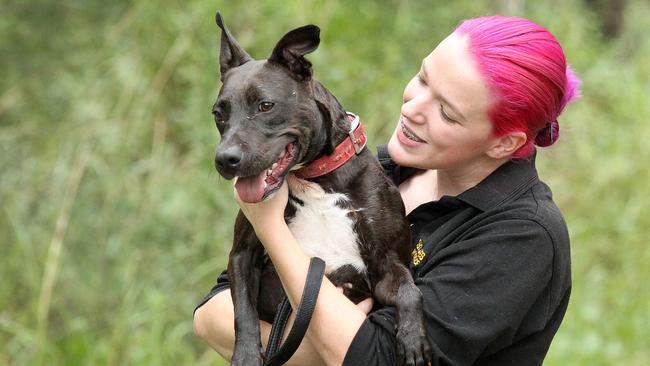 Animal career Christina Giles with Coco at the shelter. Picture: Mark Scott