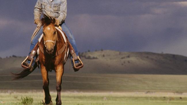 A Central Queensland cattleman was busted with drugs. Generic image.