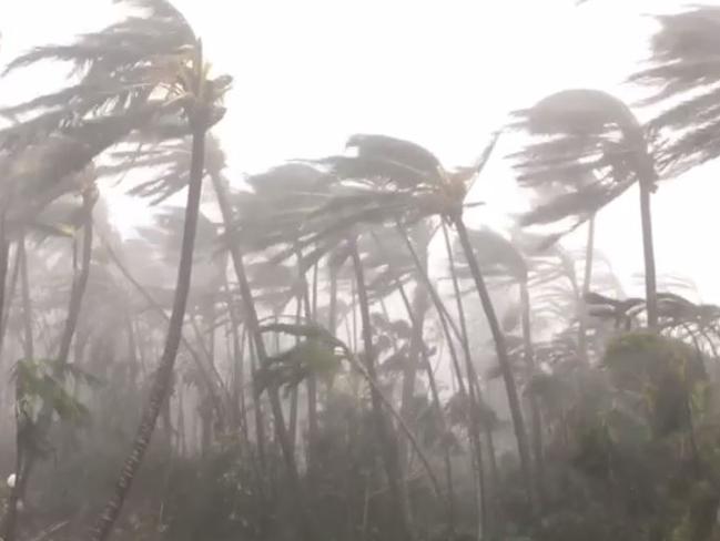 Cyclone Debbie lashes the Whitsundays. Picture: cutlunchfilms/Instagram