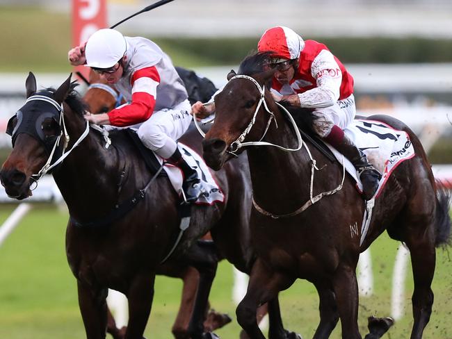 SYDNEY, AUSTRALIA - AUGUST 23: Hugh Bowman rides Diamond Oasis during Sydney Racing at Royal Randwick Racecourse on August 23, 2014 in Sydney, Australia. (Photo by Anthony Johnson/Getty Images)