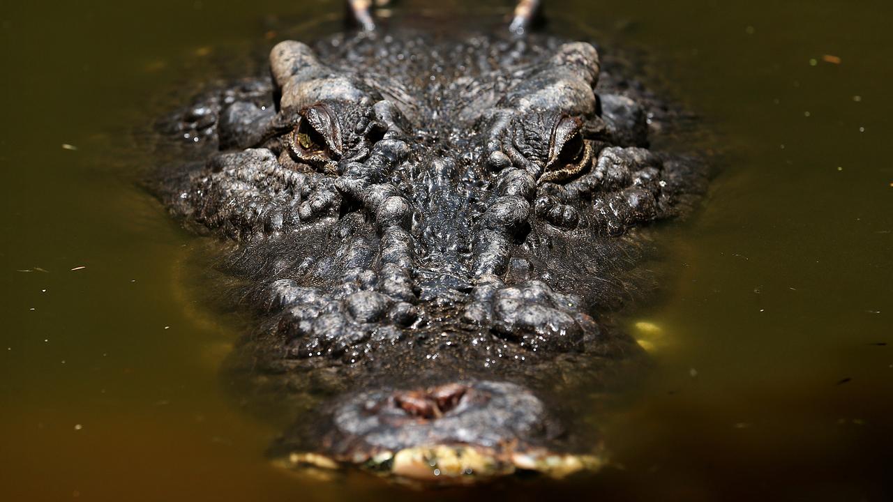 World’s largest croc dies in QLD