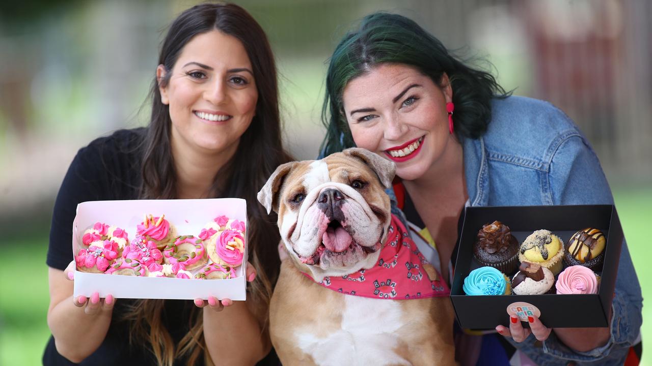 Smiling 2024 dog bakery