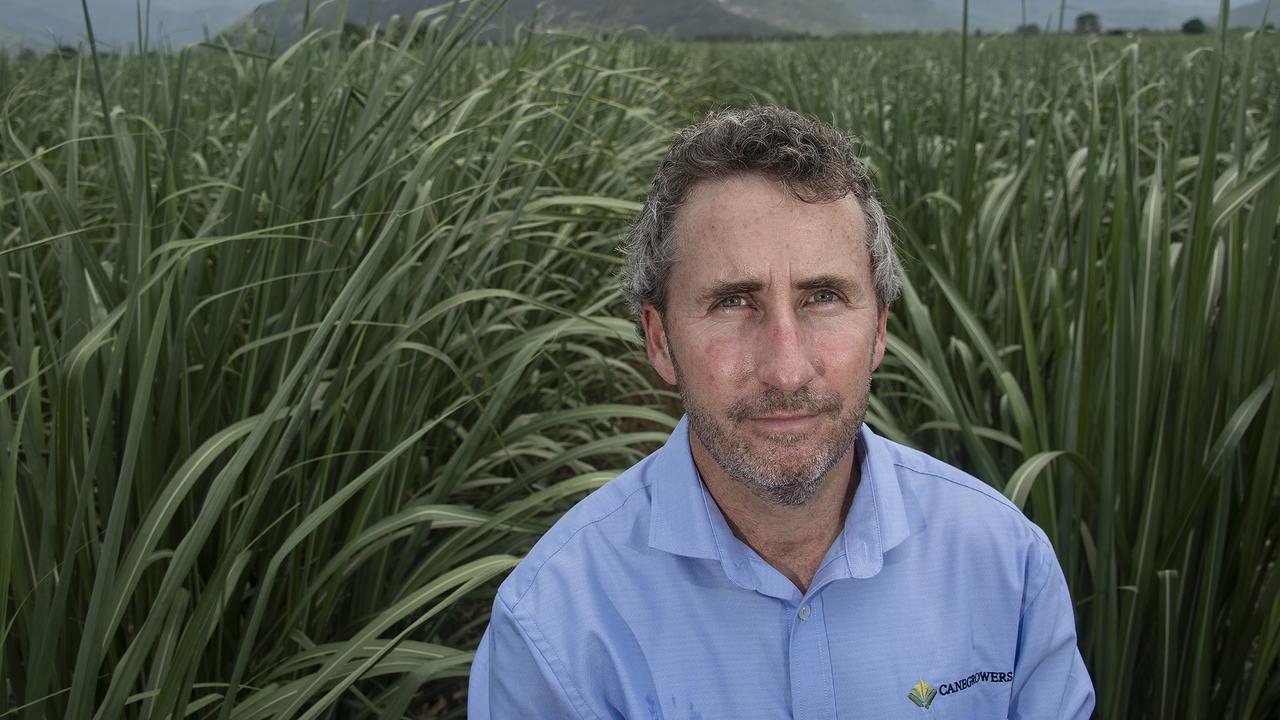 Canegrowers CEO Dan Galligan. Picture: Brian Cassey