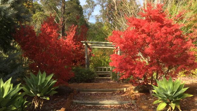 The Autumn Festival of Country Gardens will be held in the south west of WA on May 4.