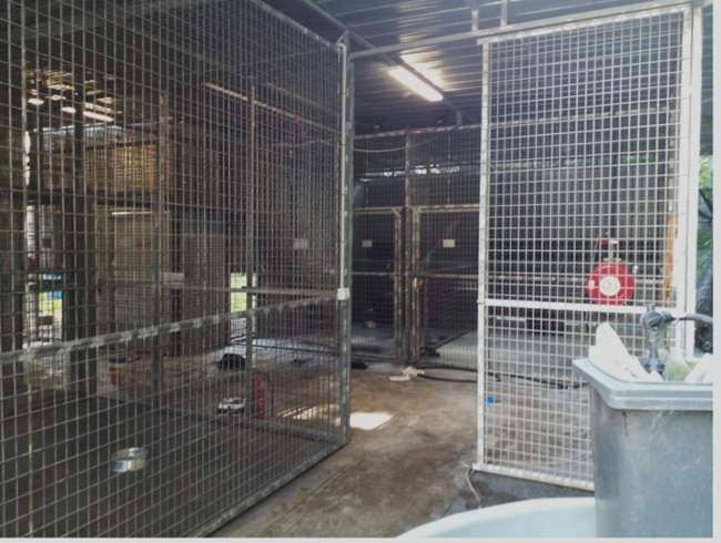 Inside the enclosure where the attack happened.