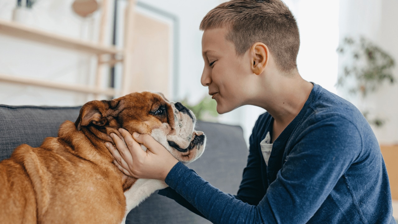 why should you not kiss your dog