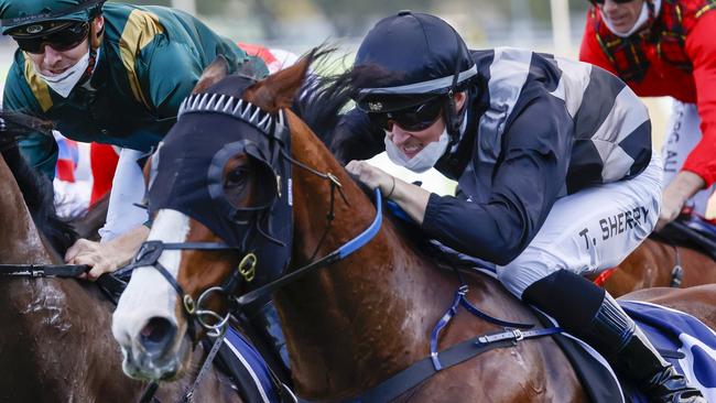 Sixgun looks a good chance to break through at Canterbury. Picture: Getty Images