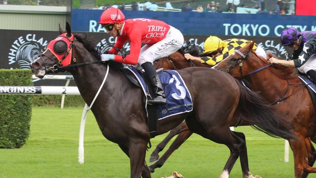Ron Dufficy is keen on Mazu to continue his outstanding form and take out the Darby Munro Stakes at Rosehill. Picture: Grant Guy