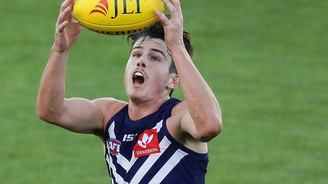 Andrew Brayshaw could be this year’s best rookie option. Picture: Getty