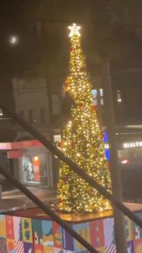 Aussie mates caught climbing the Manly Corso Christmas Tree