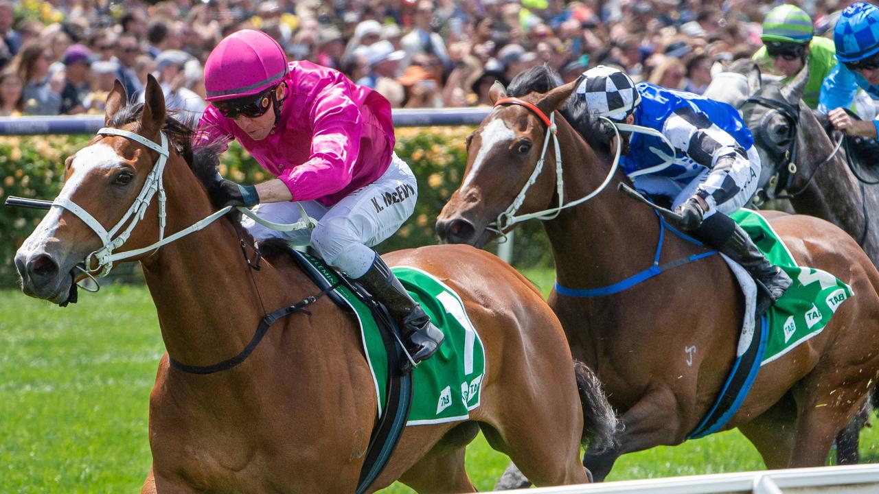 Horse racing tips: The Early Oil best bets, Flemington analysis ...