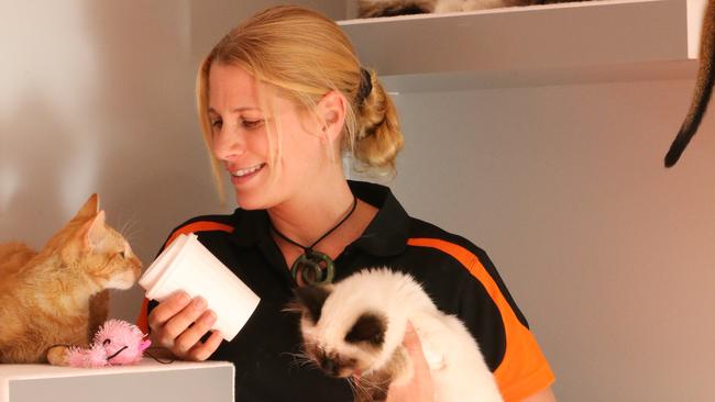 The new Crazy Cat Cafe opens this weekend in Surfers Paradise and owner Jackie Moureau takes a break from getting ready to spend time with her feline friends. Picture Glenn Hampson