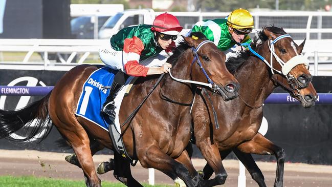 WA mare Amelia's Jewel will target The Quokka instead of the All-Star Mile this autumn. Picture: Brett Holburt/Racing Photos via Getty Images