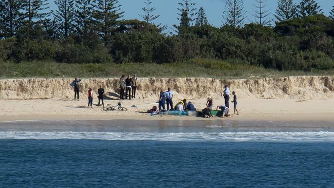 A Sydney man on holiday died after being bitten by a shark while surfing at Tuncurry Beach on the Mid-North Coast.