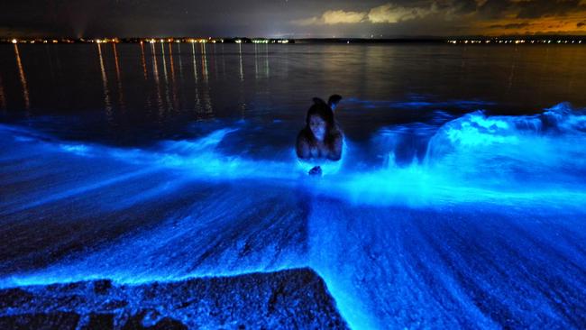 Bioluminescence at Jervis Bay. Picture: Michael Samson