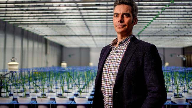 Professor Matt Gilliham at The Plant Accelerator, Waite Research Institute. Picture: Mike Burton