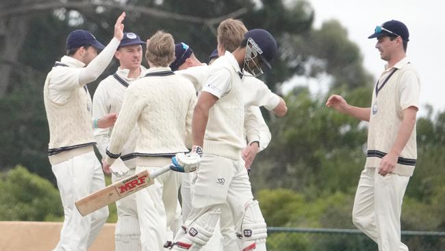 Geelong players celebrate a wicket against Frankston Peninsula. Picture: Valeriu Campan