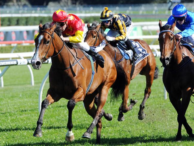 First Seal is too good in the Coolmore Tea Rose Stakes. Picture: Simon Bullard
