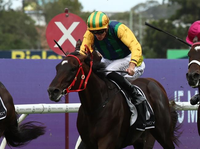 SYDNEY, AUSTRALIA - MARCH 22: Tommy Berry riding Gringotts   win Race 7 The Agency George Ryder Stakes during the "TAB Golden Slipper" - Sydney Racing at Rosehill Gardens on March 22, 2025 in Sydney, Australia. (Photo by Jeremy Ng/Getty Images)