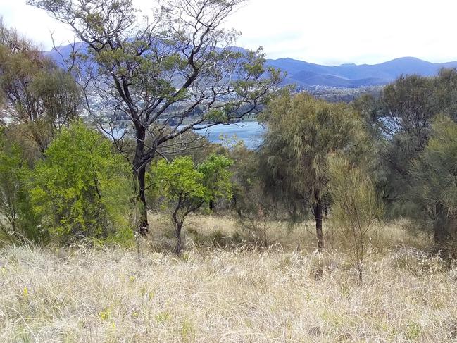 Rosny Hill is the site of a proposed development by architect, Robert Morris-Nunn.  Picture: BETH REES