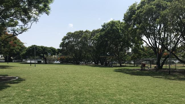 Powerhouse dog park following the 2019 upgrade. Photo. Andrea Macleod.