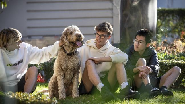 Having pets at boarding schools has been shown to have a wide range of benefits.