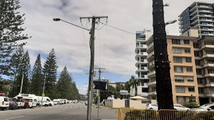 Gold Coast City councillors have voted unanimously to protect the city's second largest Norfolk Pine at Burleigh Heads. Photos of the tree taken on January 30 2021.