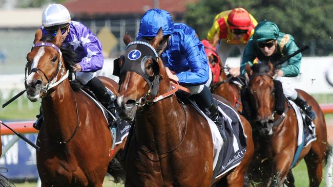 Impending will be hard to beat against the older horses on Saturday.
