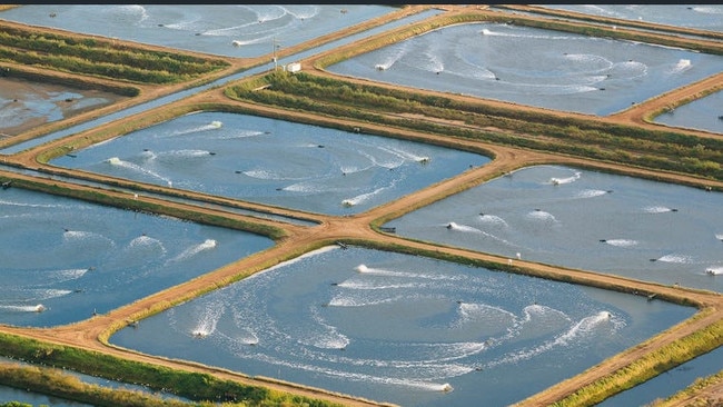 A Pacific Reef Fishers development in Queensland.