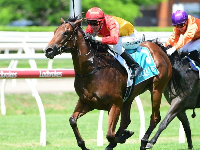 Barbie's Sister wins Calaway Gal at Eagle Farm. Picture: Grant Peters/Trackside Photography