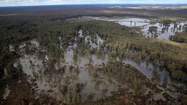 The Albanese Government is yet to deliver one drop towards the Murray-Darling Basin Plan, with the 2000 gigalitres recovered to date the work of previous governments.