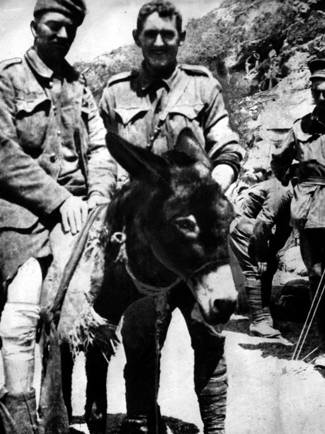 Private John Simpson Kirkpatrick with donkey Murphy on a rescue mission during the Gallipoli campaign. Picture: Australian War Memorial)