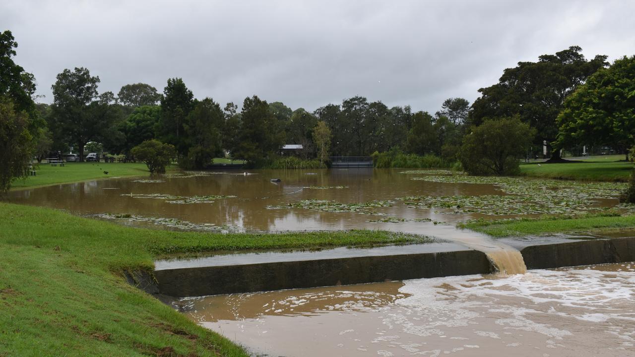 Gympie duck ponds at Lake Alford Park - 24/02/22