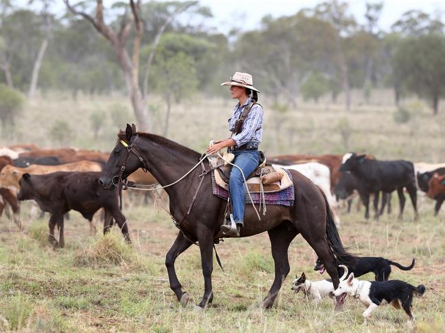 Queensland's country communities, towns and industries have been ignored for too long Picture: Adam Head