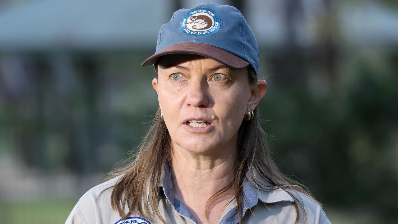 Senior ranger Linda Behrendorff speaks to the media on the island. Picture: Liam Kidston