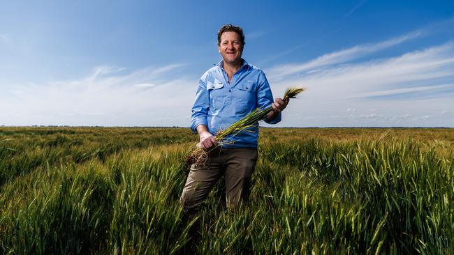 GoFARM managing director Liam Lenaghan in a barley crop at Lake Boga in northern Victoria. Pictures: Aaron Francis