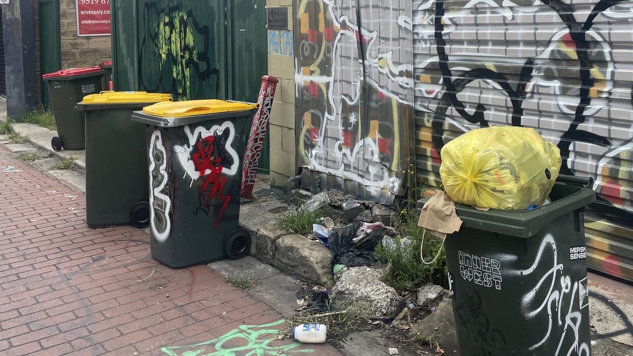 Overflowing bins and rubbish on the floor in a street in St Peters. Picture: Supplied