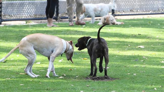 Dog owners are urged to clean up after their dogs as angry walkers report an increase in poo on paths and reserves.