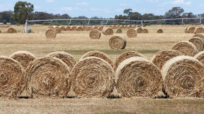 On a roll: Growing conditions have been ideal for hay growers this spring and summer. Picture: Andy Rogers