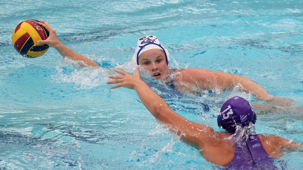 Water Polo QLD Delfina Premier League Finals Photo Gallery 2022 | The ...