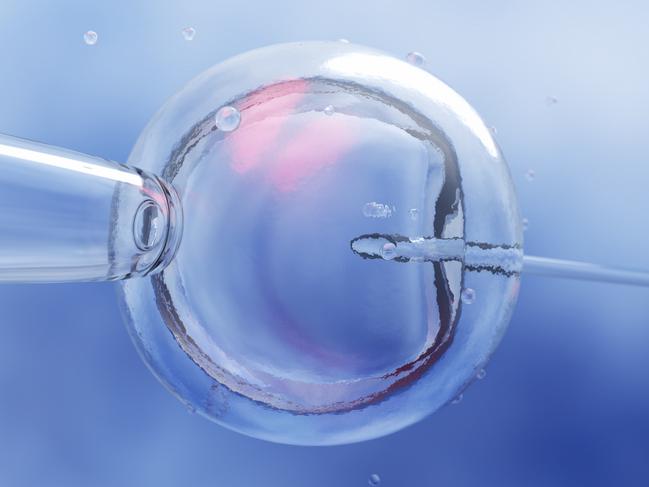 IVF (in vitro fertilization) or insemination of female egg with microscope