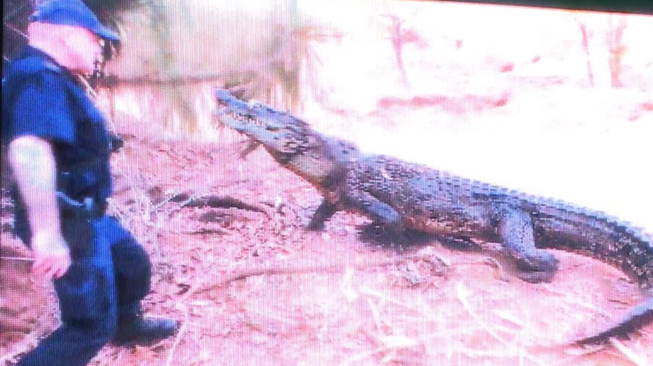 Photo of Garry Smith with a crocodile in a tribute video at his service of remembrance.