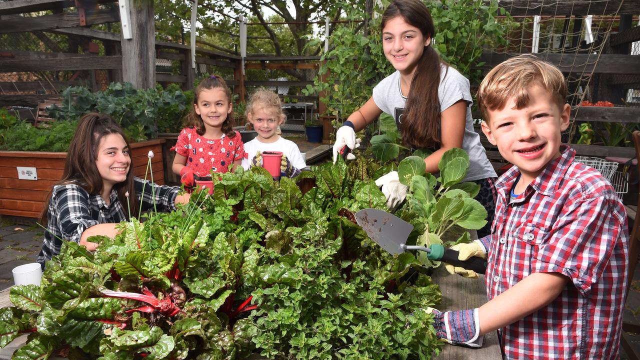 Elena, Mia, Lilian, Ana and Jayden are growing their own fruit and veggies at Stockyard Community Garden in Kensington. Picture: Tony Gough