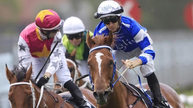 Jason Collett steered Gytrash to victory at Rosehill Gardens. Picture: Getty Images